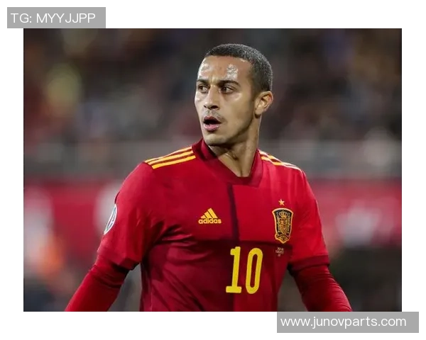 足球球星毛绒的成长之路与成就辉煌的背后故事